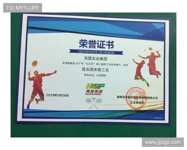 重庆羽毛球队精英赛团队协作表现分析与总结