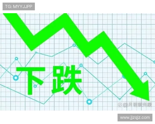 武汉排球队逆风翻盘的背后故事与未来展望解析